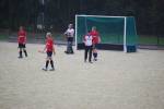 Heiveld090920070004_small.jpg (3932 Byte)