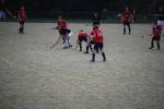 Heiveld090920070069_small.jpg (3698 Byte)