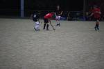 Heiveld090920070096_small.jpg (3932 Byte)