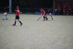 Heiveld090920070100_small.jpg (3932 Byte)