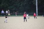 Heiveld090920070166_small.jpg (3946 Byte)