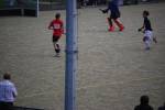 Heiveld090920070247_small.jpg (3857 Byte)