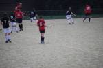 Heiveld090920070269_small.jpg (3698 Byte)