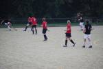 Heiveld090920070337_small.jpg (3698 Byte)