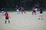 Heiveld090920070346_small.jpg (3946 Byte)