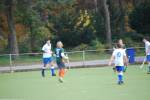 Venlo101107030084_small.jpg (3752 Byte)