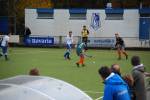 Venlo101107030272_small.jpg (3752 Byte)