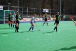 Helmond110320010384_small.jpg (3932 Byte)