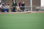 Weert110327020092_small.jpg (3932 Byte)