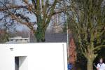 Weert110327050301_small.jpg (3698 Byte)