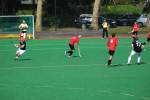 Roermond110925030330_small.jpg (3946 Byte)