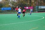 Roermond111106030230_small.jpg (3946 Byte)