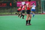 Roermond111106040015_small.jpg (3857 Byte)