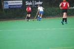 Roermond111106040316_small.jpg (3932 Byte)