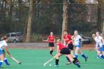 Roermond111106050324_small.jpg (3932 Byte)