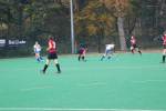 Roermond111106050395_small.jpg (3857 Byte)