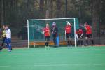 Roermond111106080054_small.jpg (3946 Byte)