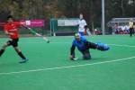 Roermond111106090036_small.jpg (3932 Byte)