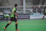 Helmond111113010174_small.jpg (3946 Byte)