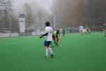 Helmond111113010214_small.jpg (3946 Byte)