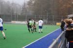 Helmond111113010252_small.jpg (3932 Byte)