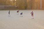 Bunde111120100302_small.jpg (3946 Byte)