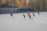 Bunde111120100329_small.jpg (3698 Byte)