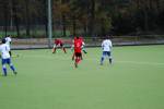 Venlo111127060024_small.jpg (3932 Byte)