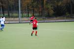 Venlo111127060185_small.jpg (3698 Byte)