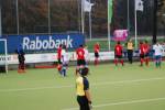 Venlo111127070212_small.jpg (3932 Byte)