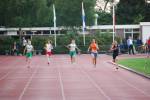 Apeldoorn080711010323_small.jpg (3857 Byte)