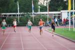 Apeldoorn080711010326_small.jpg (3946 Byte)