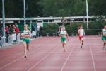 Apeldoorn080711010330_small.jpg (3946 Byte)