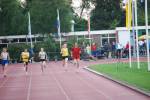 Apeldoorn080711010347_small.jpg (3857 Byte)