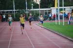 Apeldoorn080711010377_small.jpg (3698 Byte)