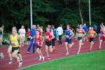 Apeldoorn080711020177_small.jpg (3698 Byte)