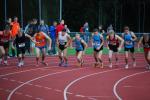 Utrack080808020147_small.jpg (3857 Byte)