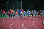 Utrack080808020148_small.jpg (3932 Byte)