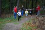 IronMan081026010201_small.jpg (3698 Byte)