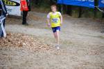 IronMan081026020106_small.jpg (3946 Byte)