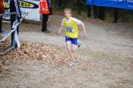 IronMan081026020107_small.jpg (3857 Byte)