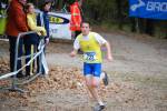 IronMan081026020115_small.jpg (3857 Byte)