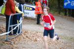 IronMan081026020118_small.jpg (3946 Byte)