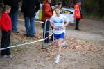 IronMan081026020126_small.jpg (3946 Byte)