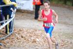 IronMan081026020134_small.jpg (3946 Byte)