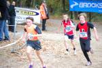 IronMan081026020144_small.jpg (3932 Byte)