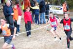 IronMan081026020145_small.jpg (3698 Byte)