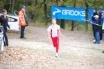 IronMan081026020147_small.jpg (3857 Byte)