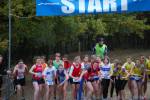 IronMan081026020169_small.jpg (3698 Byte)