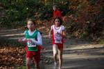 Scopias081102010114_small.jpg (3946 Byte)